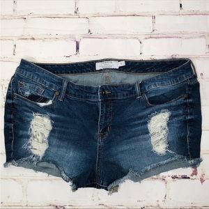 Torrid distressed lace blue denim shorts size 20